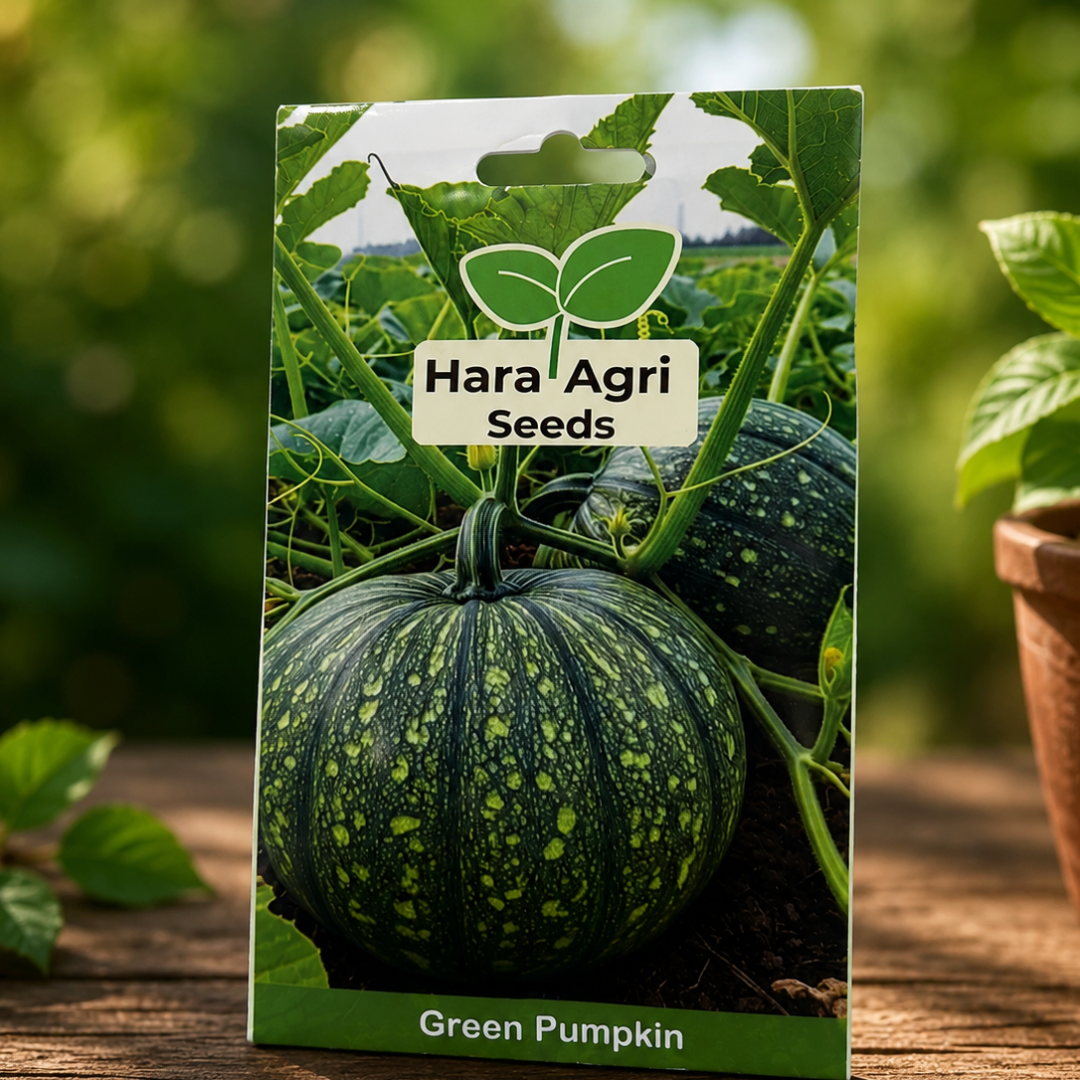 Premium Green Pumpkin Seeds for Home Gardening & High Yield Farming | Hara Agri Hybrid Green Pumpkin Seeds