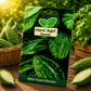 Premium Hybrid Bitter Gourd (Karela) Seeds for Home Garden, Terrace Gardening & Farm Cultivation