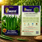 Premium F1 Chilli Jwala Pariksha Hybrid Seeds for Home Gardening, Terrace Farming & Commercial Cultivation