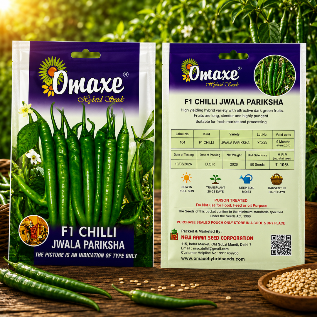 Premium F1 Chilli Jwala Pariksha Hybrid Seeds for Home Gardening, Terrace Farming & Commercial Cultivation