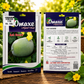 Premium Ash Gourd Vegetable Seeds for High Yield Farming & Kitchen Gardening in India