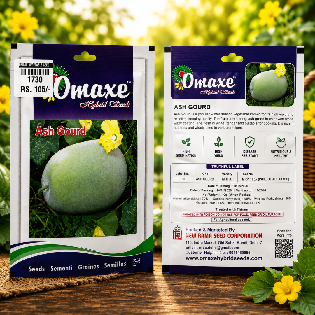 Premium Ash Gourd Vegetable Seeds for High Yield Farming & Kitchen Gardening in India