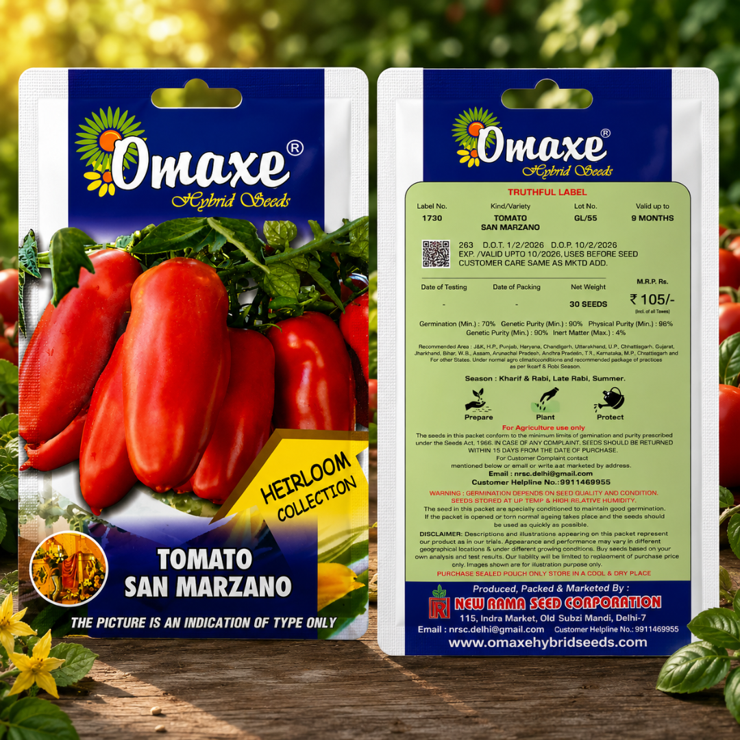 Omaxe Hybrid Seeds Tomato San Marzano – Premium Heirloom Collection Tomato Seeds for Kitchen Garden & Farm Cultivation