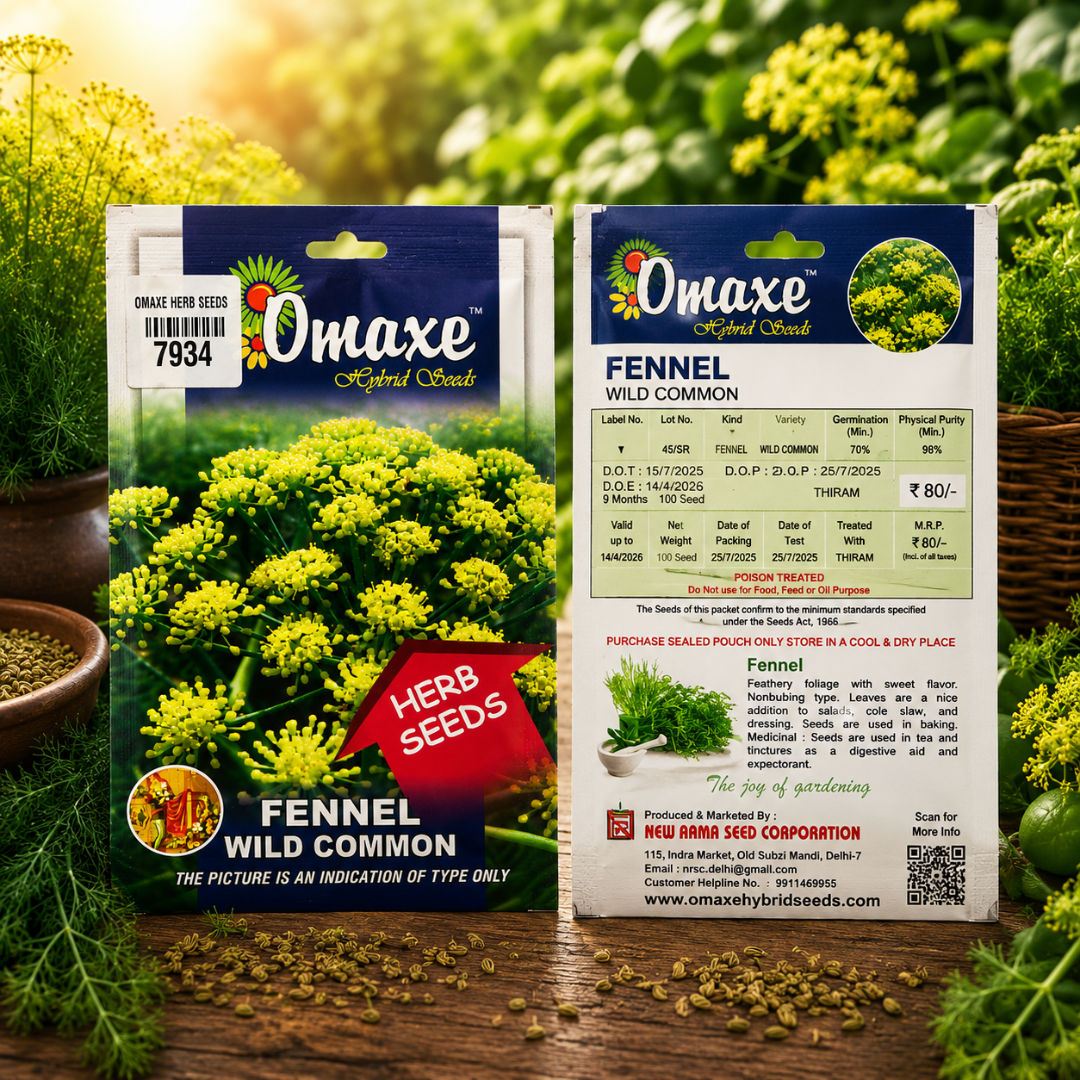Premium Banga Seeds for Fast Growing High Yield Vegetable Farming & Kitchen Gardening