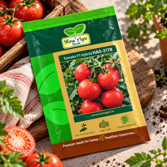Hara Agri Seeds Tomato F1 Hybrid HAS-2178 – Premium High-Yield Tomato Seeds for Healthy, Uniform & Quality Tomato Production