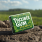 Trouble Gum Big/Small Sticker for Pest & Fly Control in Farms