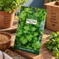 Coriander HAS-1141 Seeds | Hara Agri Seeds | Quality Coriander Vegetable Seeds for Fresh Green Leaves, Home Garden, Kitchen Garden, Terrace Garden & Pots