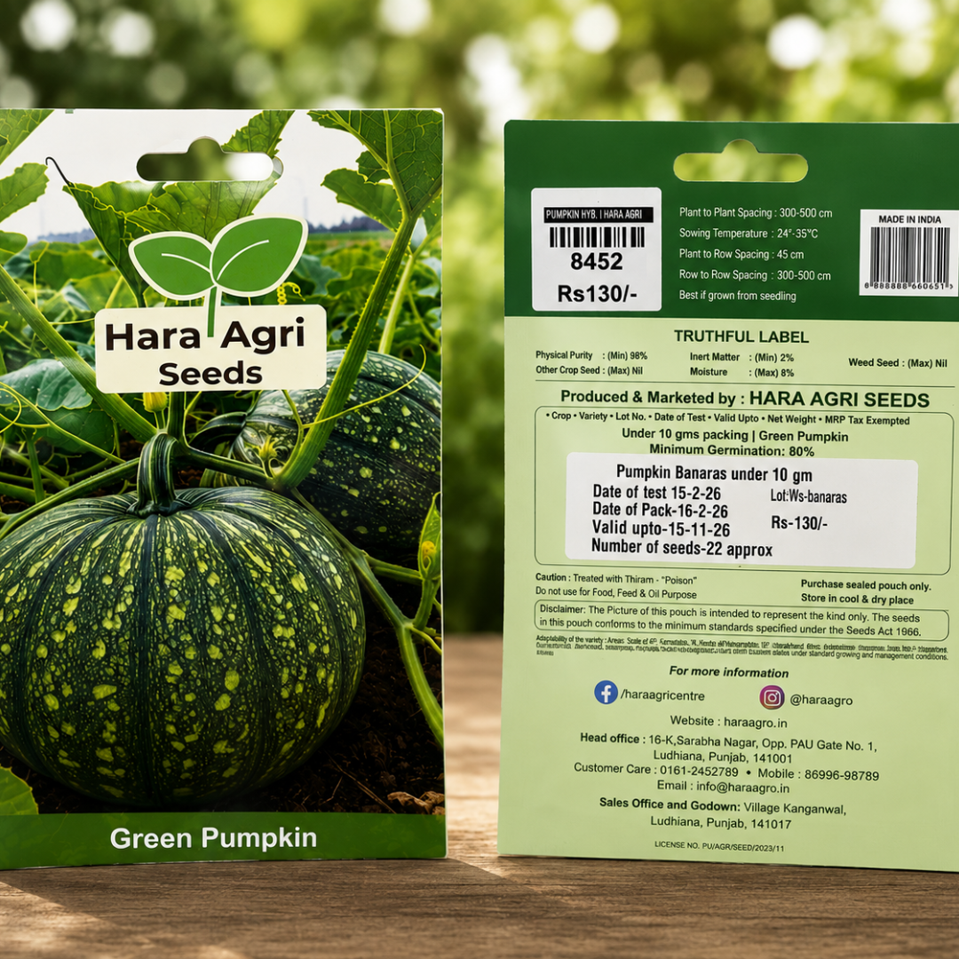 Premium Green Pumpkin Seeds for Home Gardening & High Yield Farming | Hara Agri Hybrid Green Pumpkin Seeds