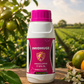 Imidhude Insecticide – Powerful Sucking Pest Control
