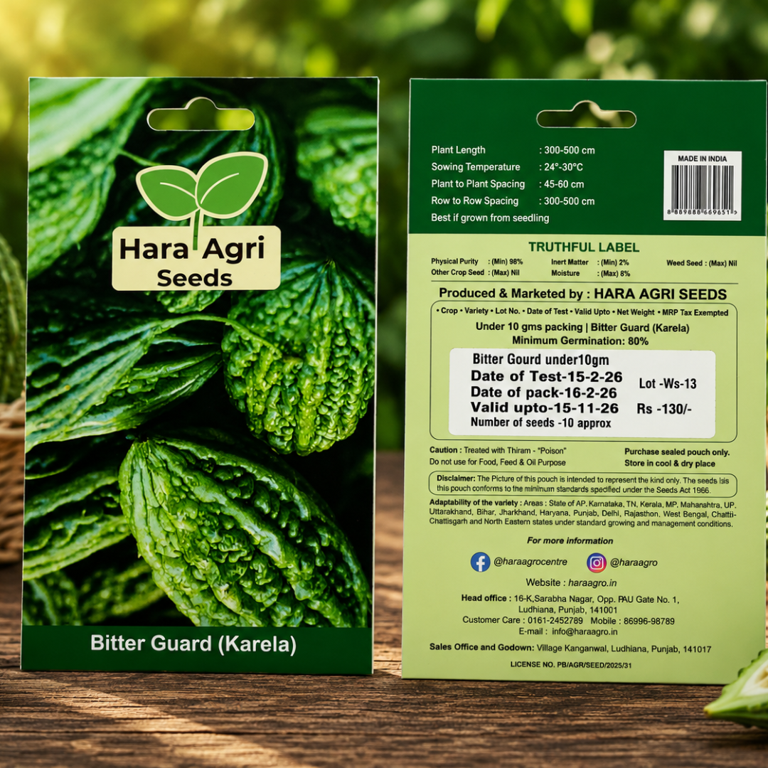 Premium Hybrid Bitter Gourd (Karela) Seeds for Home Garden, Terrace Gardening & Farm Cultivation