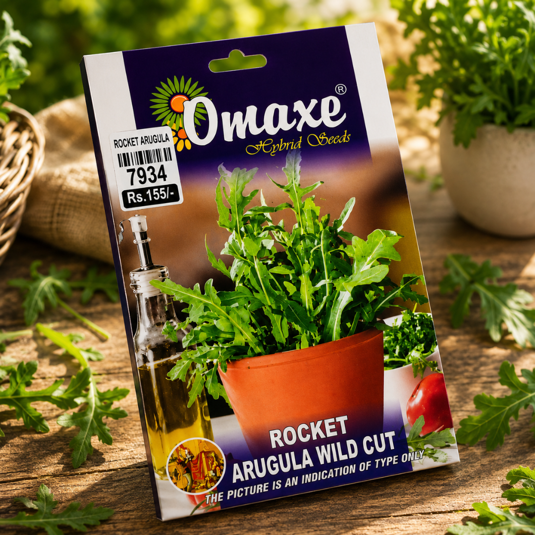 Premium Rocket Arugula Wild Cut Herb Seeds for Salad Gardening, Balcony Pots & Organic Leafy Green Farming