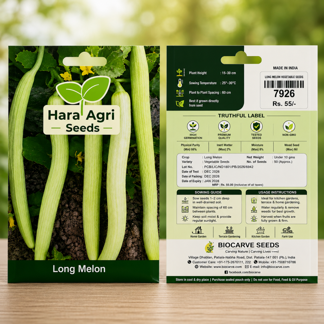 Premium High Germination Long Melon Vegetable Seeds for Home Gardening, Terrace Gardens & Farming