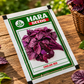 Hara Seeds Chulahi Red Seeds – Premium Red Amaranthus Seeds for Fast & Healthy Leaf Growth