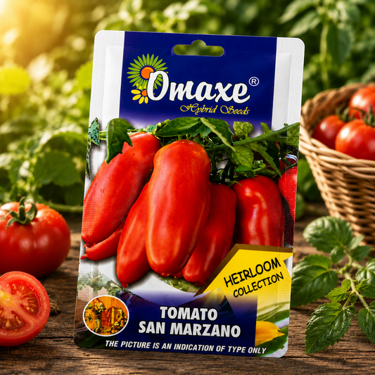 Omaxe Hybrid Seeds Tomato San Marzano – Premium Heirloom Collection Tomato Seeds for Kitchen Garden & Farm Cultivation