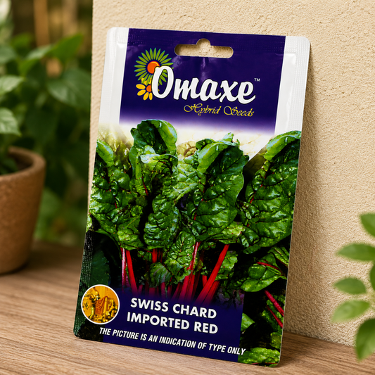 Omaxe Swiss Chard Imported Red Hybrid Seeds for Kitchen Garden, Terrace Gardening & Commercial Farming