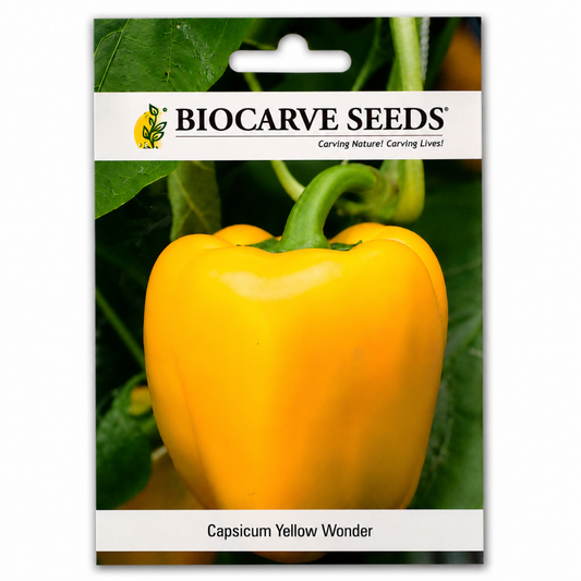 Premium Yellow Bell Pepper Seeds for Home Garden – High Yield Capsicum Yellow Wonder Vegetable Seeds by BIOCARVE SEEDS