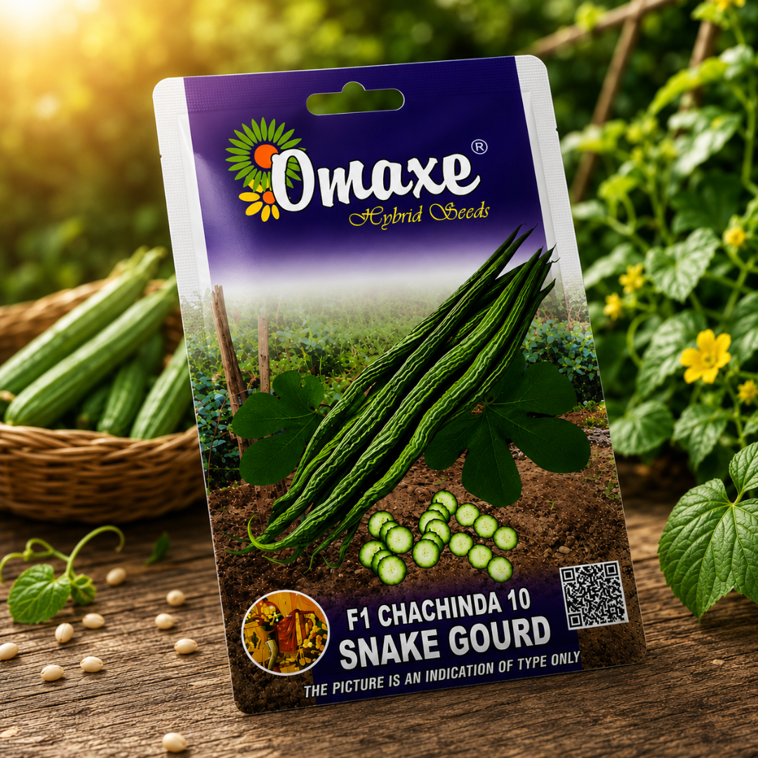 Omaxe F1 Chachinda 10 Hybrid Snake Gourd Seeds for Home Gardening, Terrace Garden & High Yield Vegetable Farming