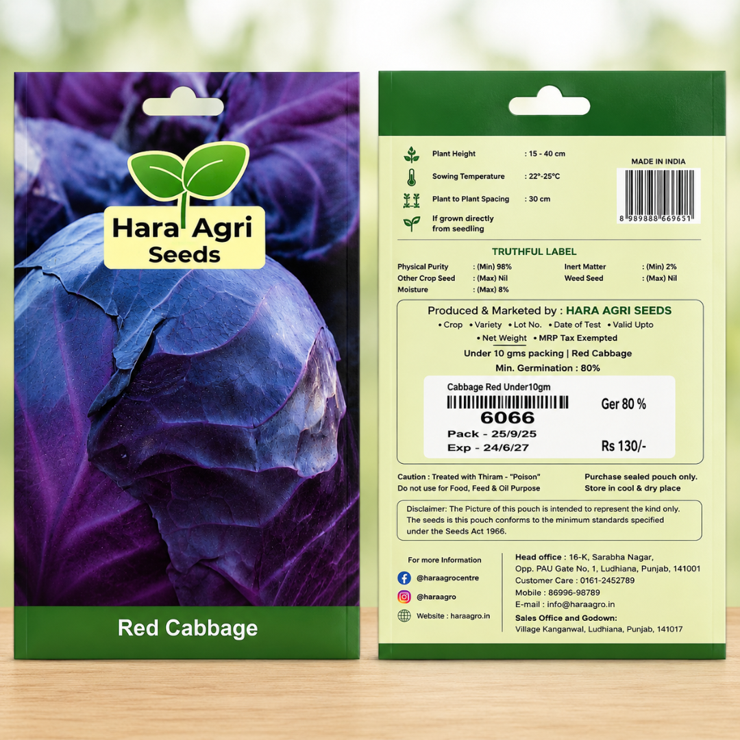 HARA Agri Seeds Red Cabbage Seeds – Premium High Germination Vegetable Seeds for Home Gardening & Farming