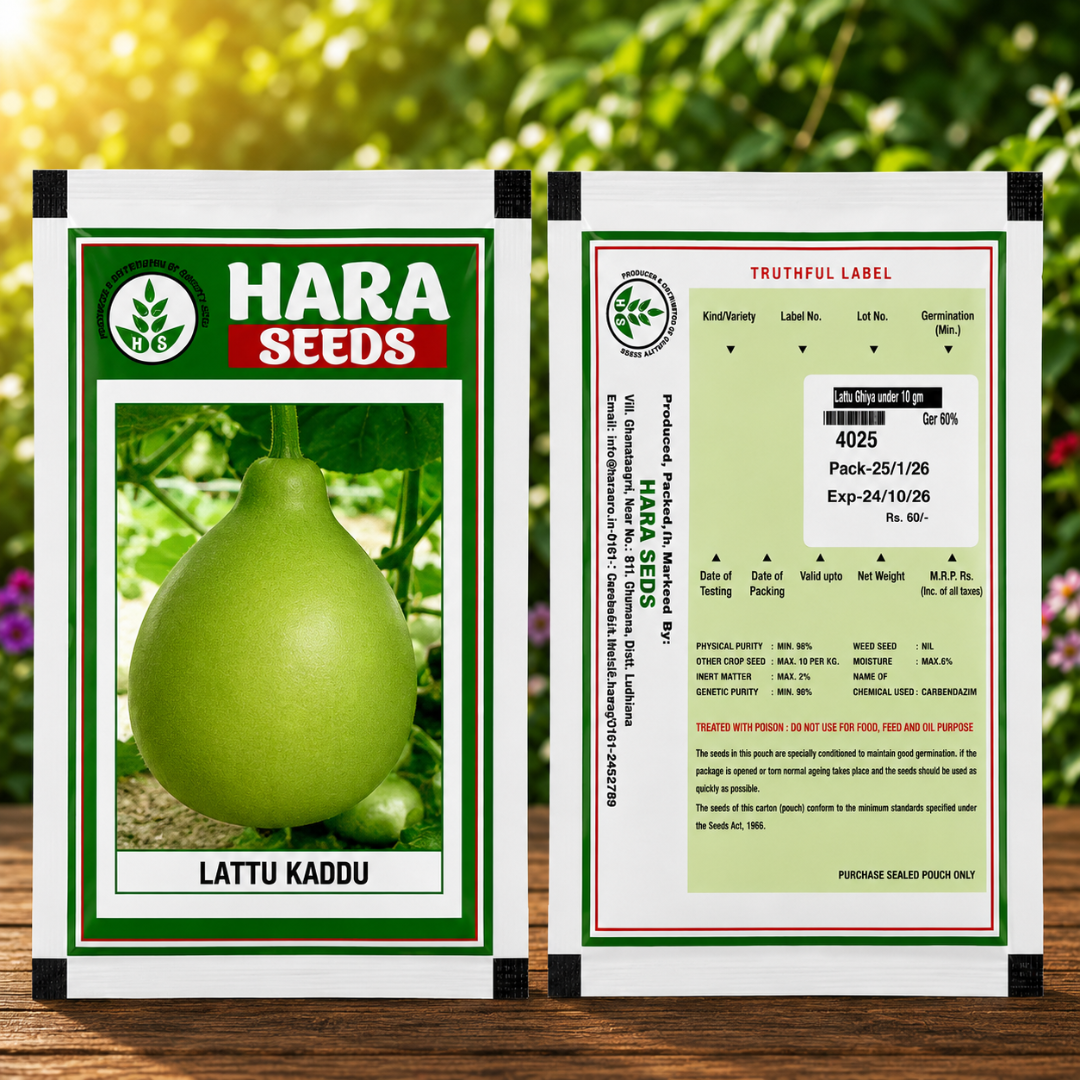 Premium Lattu Kaddu (Bottle Gourd) Hybrid Seeds for Home Garden, Terrace Farming & Organic Vegetable Cultivation