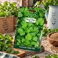 Coriander HAS-1141 Seeds | Hara Agri Seeds | Quality Coriander Vegetable Seeds for Fresh Green Leaves, Home Garden, Kitchen Garden, Terrace Garden & Pots