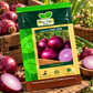 Onion S.S. HAS-1240 Seeds | Premium Red Onion Seeds for High Yield Cultivation, Farming & Kitchen Garden | Hara Agri Seeds