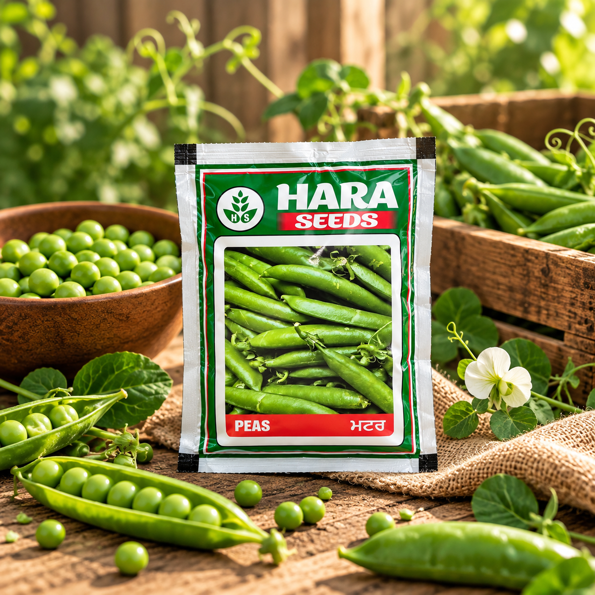 Hara Seeds Peas Seeds (Matar) – High Quality Vegetable Seeds for Home Gardening & Kitchen Gardens | Easy to Grow Green Peas Seeds