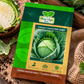Cabbage F1 Hybrid HAS-2067 Seeds – High Yield, Disease Resistant Green Cabbage Seeds for Home Gardening & Commercial Vegetable Farming