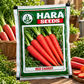 Hara Seeds Red Carrot Desi Seeds – Premium Red Gajar Vegetable Seeds for Home Gardening & Farming | High Germination Carrot Seeds for Winter Cultivation | 10g & 1kg Packs