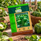 Hara Agri Seeds Capsicum F1 Hybrid HAS-2082 Seeds – High Yield Green Bell Pepper Variety with Good Germination and Disease Resistance for Home Gardening & Commercial Farming