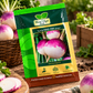 Hara Agri Seeds Turnip HAS-1191 (Imp.) Seeds – Purple & White Root Vegetable Seeds for Home Gardening, Kitchen Gardens & Commercial Cultivation