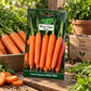 Carrot Nantes HAS-1152 F1 Seeds | Hara Agri Seeds | Premium Hybrid Carrot Vegetable Seeds for Home Garden, Kitchen Garden, Terrace Garden, Pots & Grow Bags
