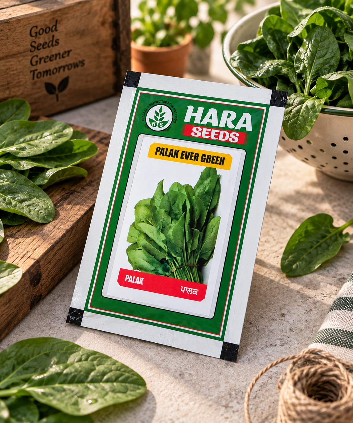 Hara Seeds Palak Ever Green Vegetable Seeds for Home Garden & Kitchen Garden – Fresh Green Spinach Seeds for Direct Sowing