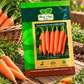 Carrot Nantes F1 Hybrid HAS-2076 – Hara Agri Seeds