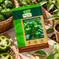 Hara Agri Seeds Capsicum F1 Hybrid HAS-2082 Seeds – High Yield Green Bell Pepper Variety with Good Germination and Disease Resistance for Home Gardening & Commercial Farming