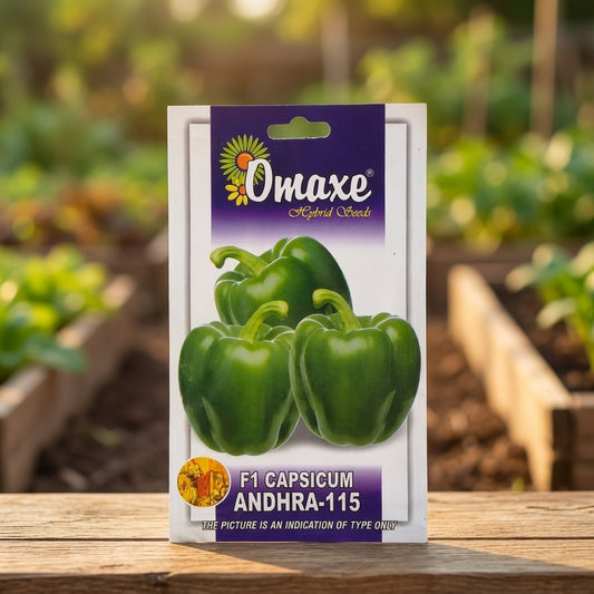 Premium F1 Capsicum Seeds for High Yield Colorful Bell Pepper Farming in India