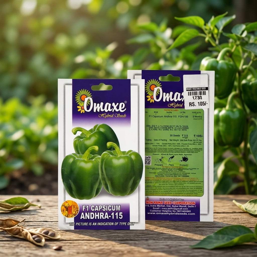 Premium F1 Capsicum Seeds for High Yield Colorful Bell Pepper Farming in India