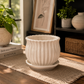 Elegant Ribbed White Ceramic Planter Pot with Saucer | Decorative Indoor Flower Pot for Succulents, Snake Plants & Tabletop Plants
