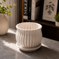 Elegant Ribbed White Ceramic Planter Pot with Saucer | Decorative Indoor Flower Pot for Succulents, Snake Plants & Tabletop Plants