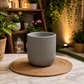 Premium White Ribbed Ceramic Indoor Plant Pot for Home, Office Desk, Living Room & Tabletop Decoration