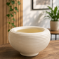 Premium White Ribbed Bowl Ceramic Planter Pot for Succulents, Bonsai, Indoor Plants & Modern Home Décor