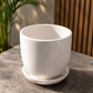 Classic White Glossy Ceramic Plant Pot with Saucer for Indoor Plants, Succulents, Home & Office Decoration