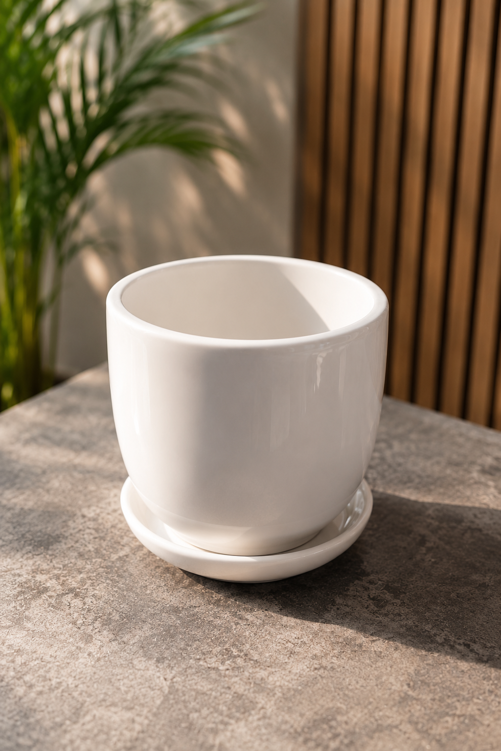 Classic White Glossy Ceramic Plant Pot with Saucer for Indoor Plants, Succulents, Home & Office Decoration