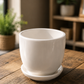 Classic White Glossy Ceramic Plant Pot with Saucer for Indoor Plants, Succulents, Home & Office Decoration