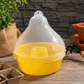 Reusable Hanging Fruit Fly Trap for Mango, Guava, Vegetable & Fruit Crops | Durable Plastic Insect Pest Trap with Hanging Hook
