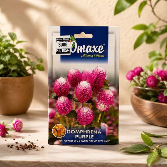 Omaxe Gomphrena Purple Flower Seeds – Premium Long Blooming Globe Amaranth Seeds for Home Garden & Balcony Pots