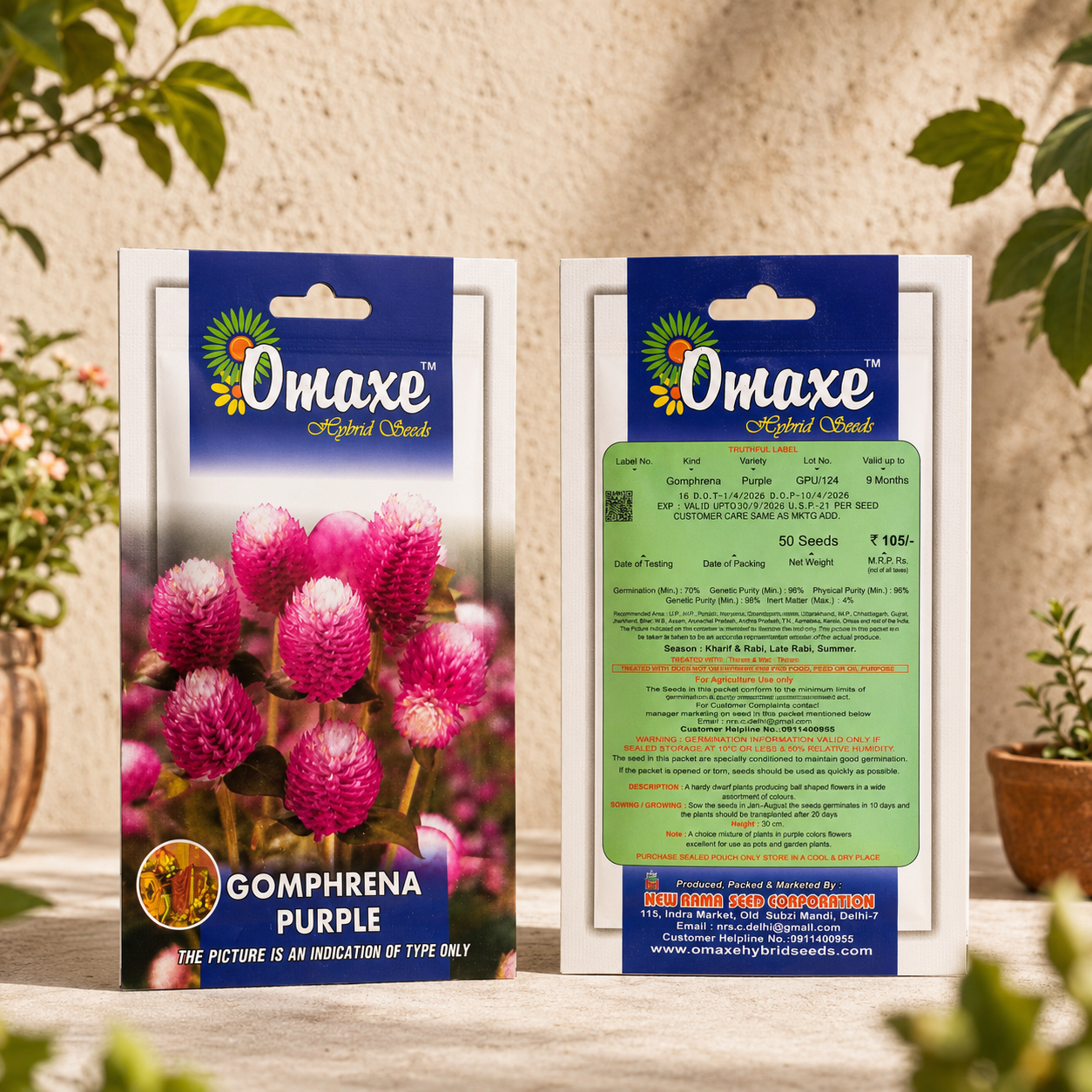 Omaxe Gomphrena Purple Flower Seeds – Premium Long Blooming Globe Amaranth Seeds for Home Garden & Balcony Pots