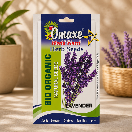 Omaxe Organic Lavender Herb Seeds – Premium Natural Aromatic Flower & Medicinal Herb Seeds for Home Gardening