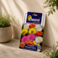 Omaxe F1 Hybrid Portulaca Mixed Flower Seeds – Multicolor Moss Rose Seeds for Home Garden, Balcony & Terrace Gardening