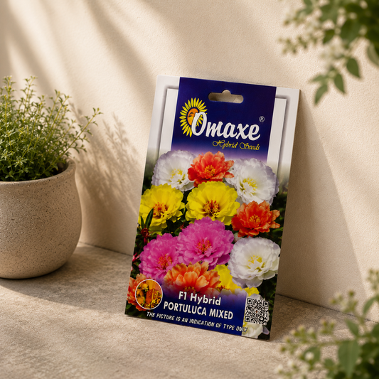 Omaxe F1 Hybrid Portulaca Mixed Flower Seeds – Multicolor Moss Rose Seeds for Home Garden, Balcony & Terrace Gardening