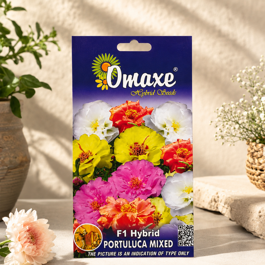 Omaxe F1 Hybrid Portulaca Mixed Flower Seeds – Multicolor Moss Rose Seeds for Home Garden, Balcony & Terrace Gardening